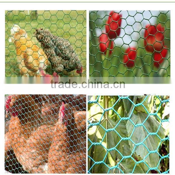 stainless steel hexagonal mesh (professional factory)