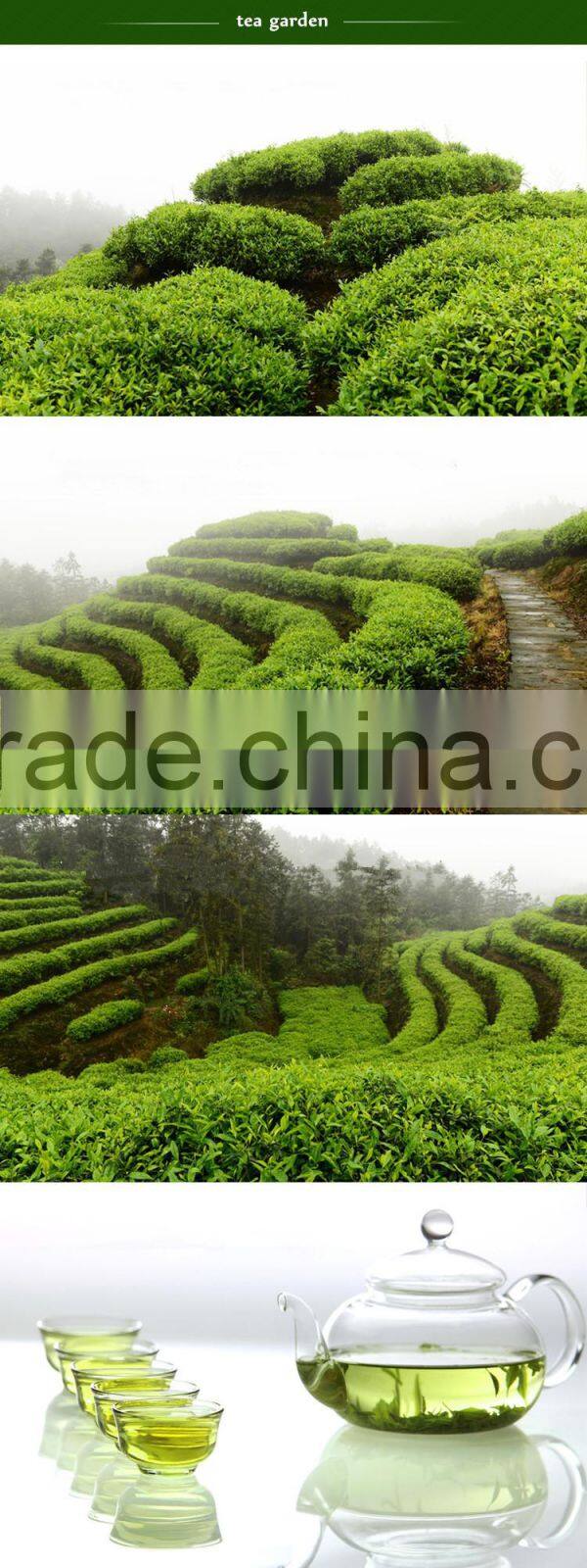 2015 Jasmine flavor pine needle green tea