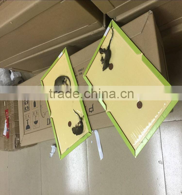 Powerful adhesive rat glue trap mice mouse rat glue