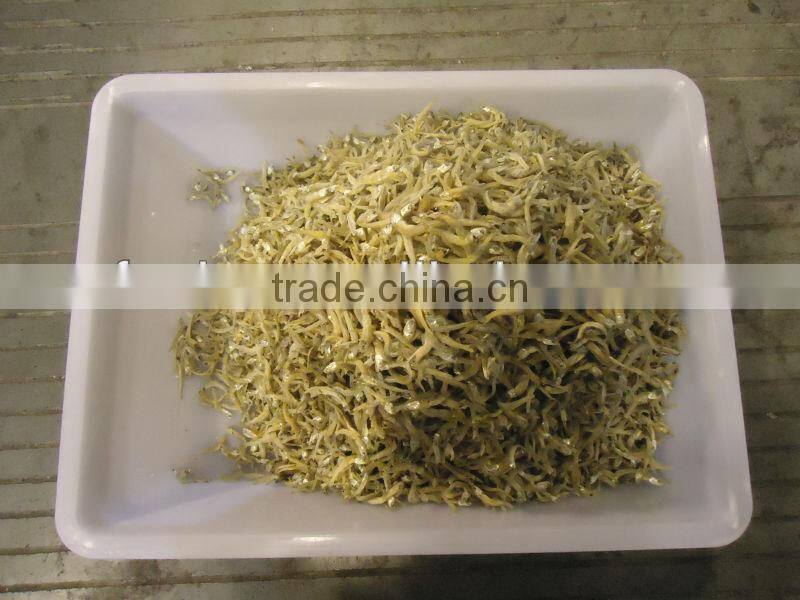 Dried Anchovy Fish in zhoushan china