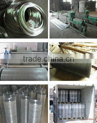 2X2 stainless steel welded wire mesh