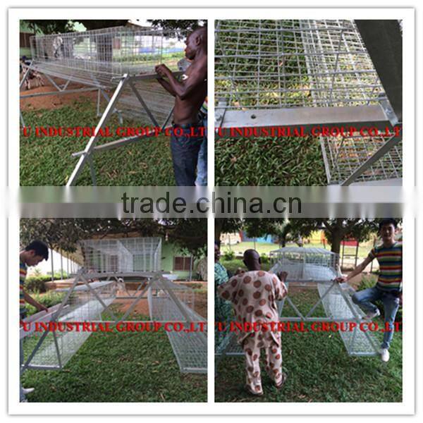TAIYU Farm Machines for Laying Hens