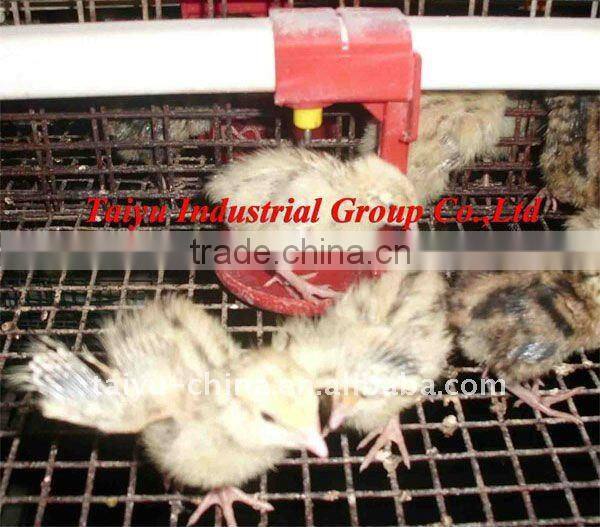 Taiyu-1 quail cages ( Professional Manufacturers )