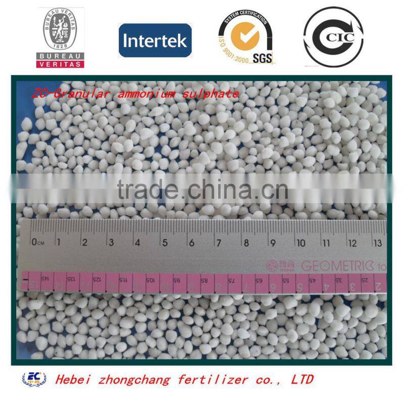 Hebei ammonium sulphate