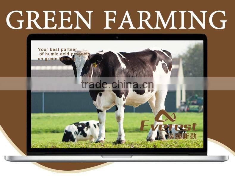 New Technology Good Service Water Soluble Sodium humate granule