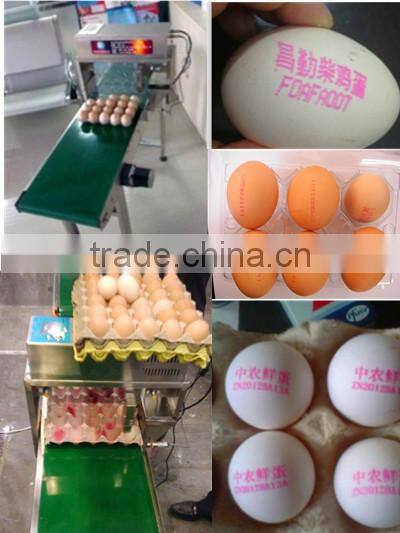 carton date code printing machine/laser marking machine for date code/date coding machine printing machine