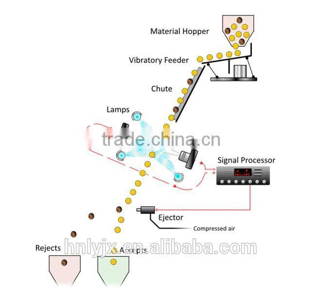 color sorter used for corn, beans, wheat for sale
