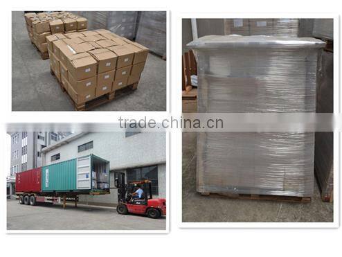 stainless steel /carbon steel pipe spring hose clamp clip