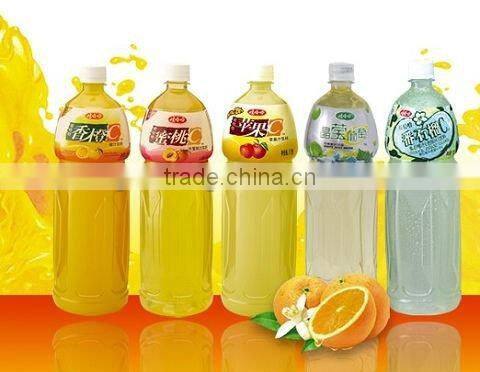 RCGF24-24-8 PET Bottle Filling Machine