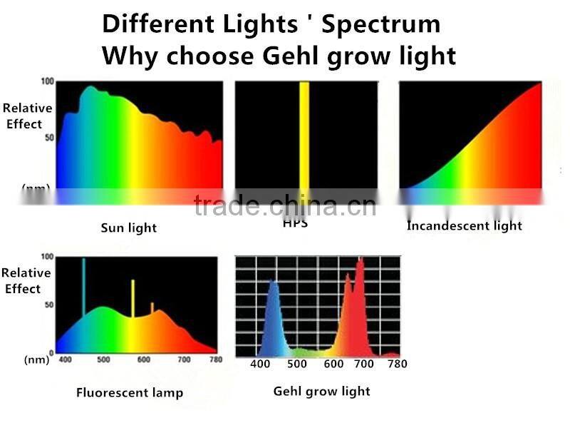 Gehl 2015 hot sale grow room led strip grow lights