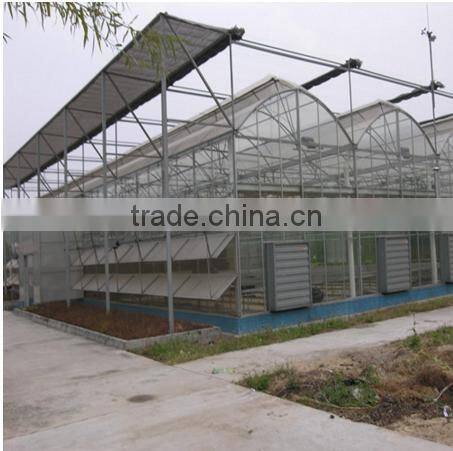 Prefabricated durable steel structure used greenhouse