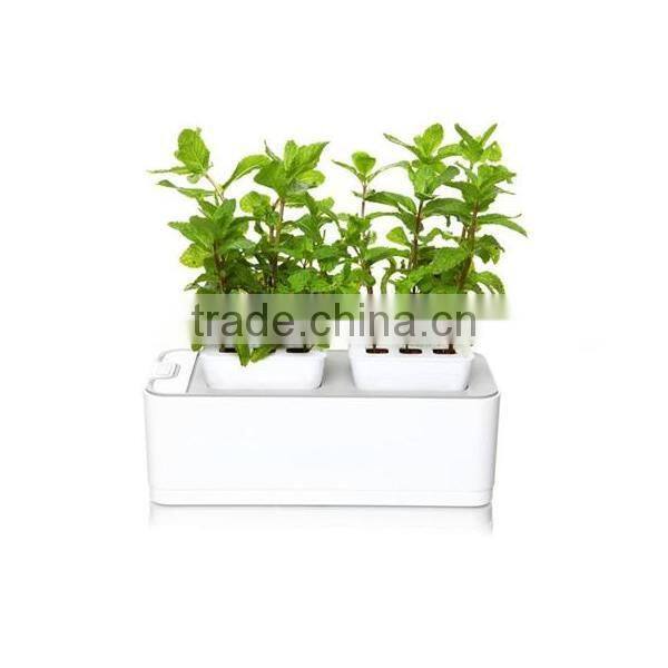2014 newest office decoration mini smart garden
