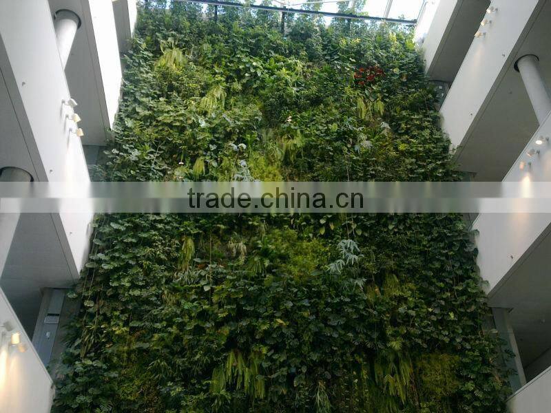 Hot selling plant wall artifical green plant wall used indoor