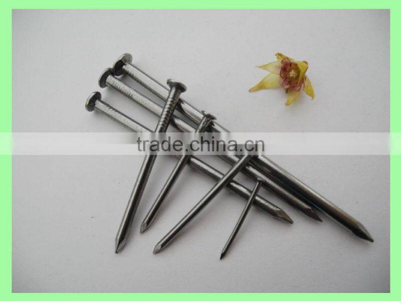 common nails for fasterner/common wire nails china supplier