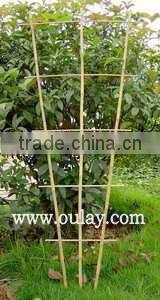 Hand-assembled bamboo trellis with small package