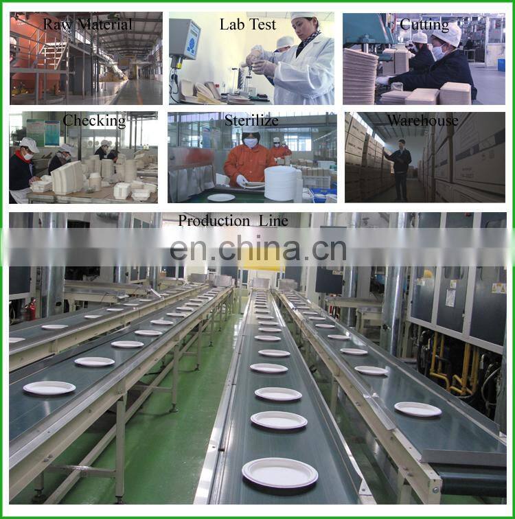 2015 Hot Biodegradable Eco-friendly Pizza Pan