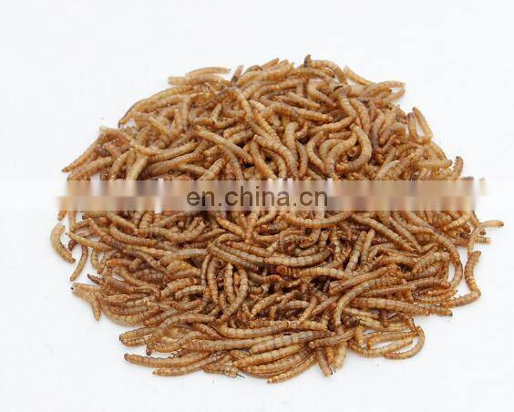 High level Dust- free multifunctional tenebrio molitor Separator machine