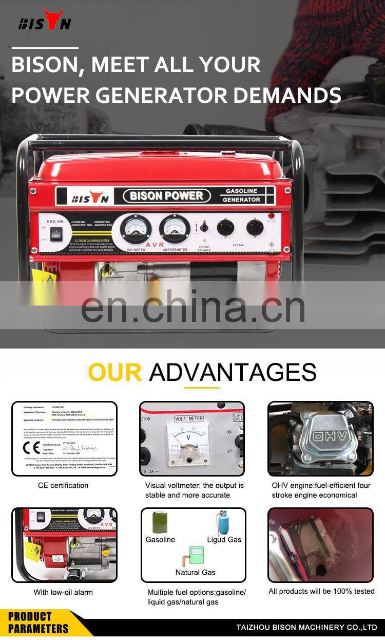 China Taizhou Bison Machinery 1kw -7.5kw Gasoline Engine Portable Power Electric Gasoline Generator Type For Sale Cheap