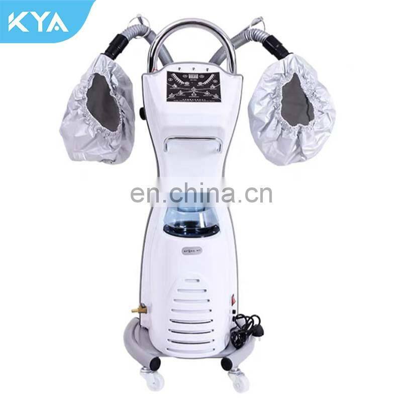 Professional Ozone Micro-mist Nano Hair Steamer SPA Treat Hair for Hair Salon