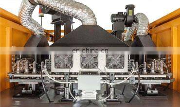 High speed automatic 2 cavity PET bottle blowing moulding machine pice