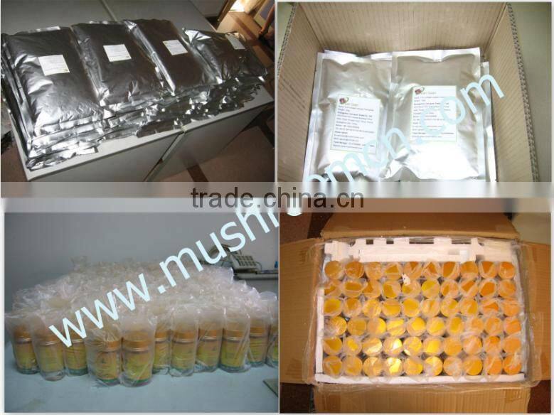 High quality and 100% Beacuty care and drinkable collagen