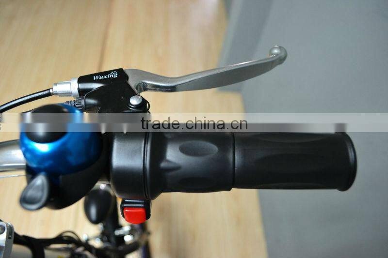 2014 new style best electric kickbike dog scooter