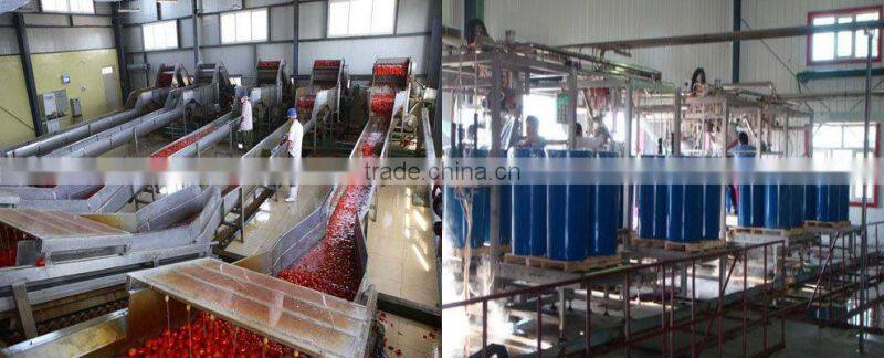 Solid Form and Sauce Product Type Canned Tomato paste 400g