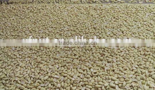 shandong raw peanuts in shell peanuts 1kg price