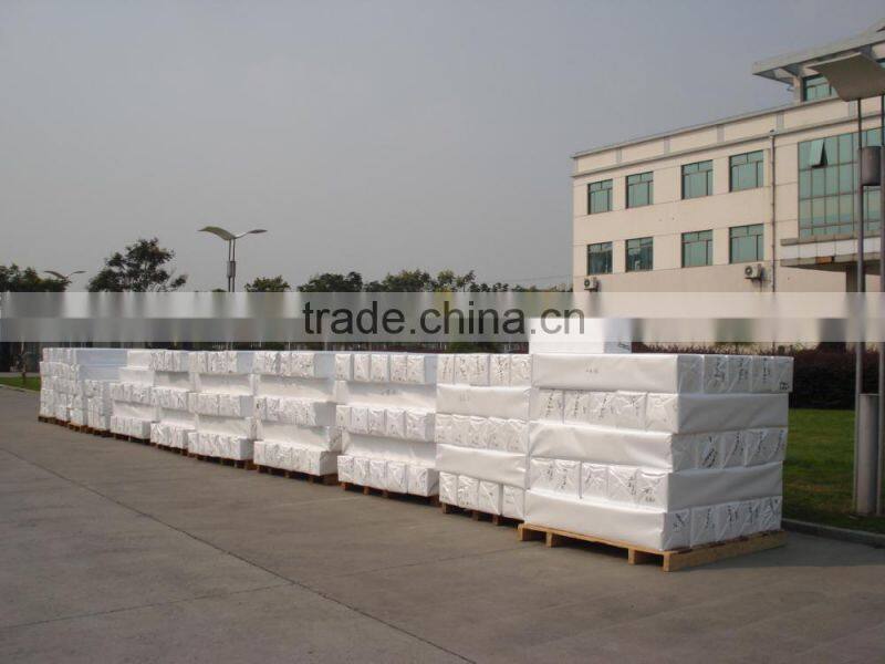 eco solvent matt digital printing polyester fabric canvas