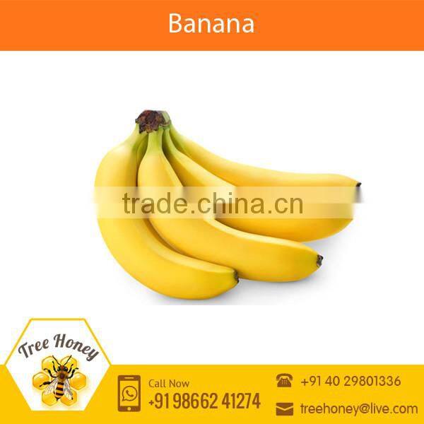 Fresh Yellow Banana for Sale