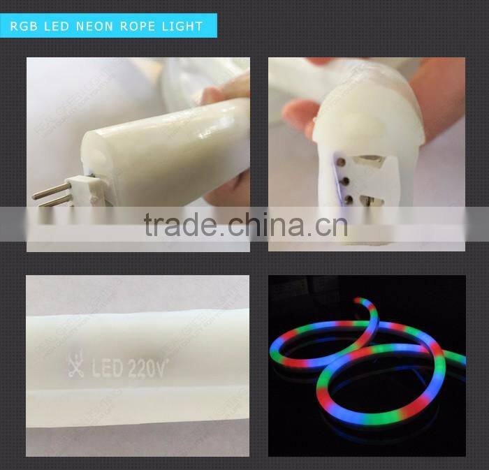 Retail & Wholesale 120V Chasing LED Neon Rope Light