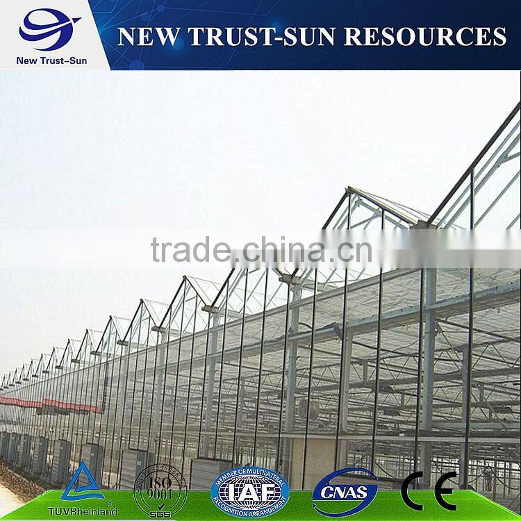 Best selling PC sheet/board agricultural greenhouse for sale