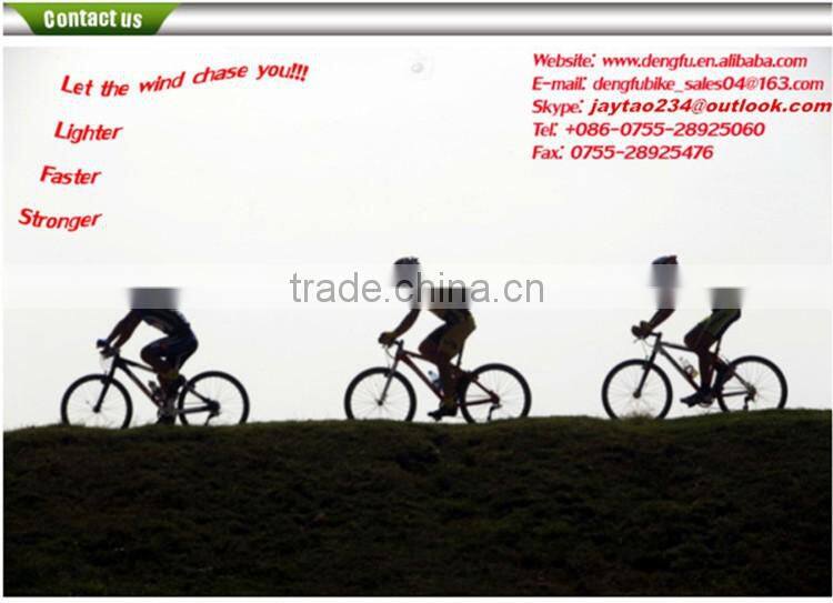 2016 Dengfu Carbon Time Trial Bike Frame FM087 with Cheap Price