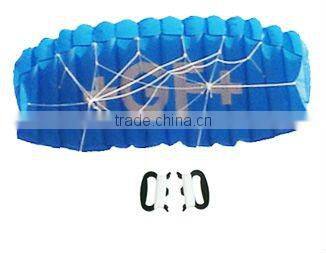 Quad line power Kite
