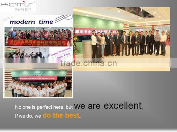 Factory Wholesale Price 2015 LED Spotlight 12W Lens