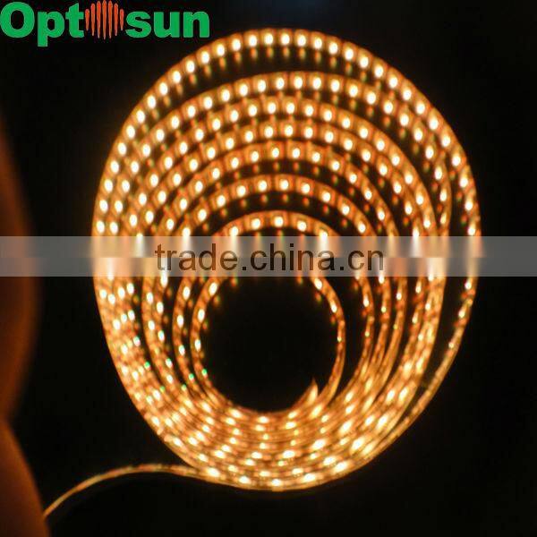 dimmable led rope light