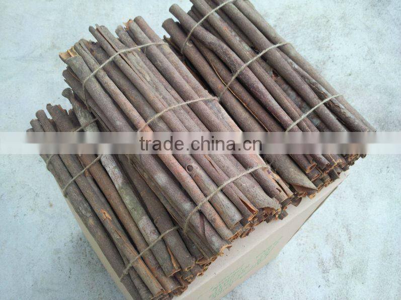 Chinese tube cassia HOT origin city -- luoding