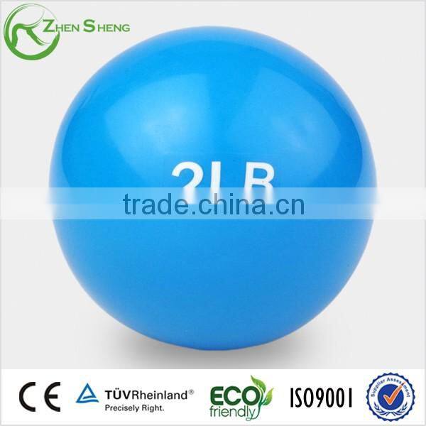 ZHENSHENG sand filled weight ball medicine ball