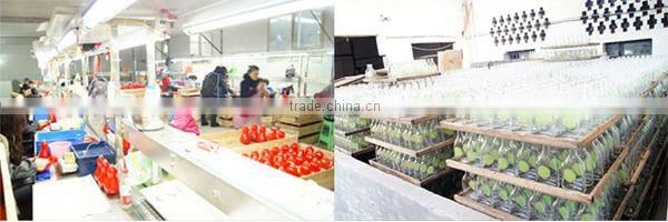 Glasslucky high quality empty juice bottles wholesale