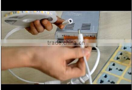 60leds/m 5050 SMD high quality led strip light for house decoration