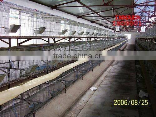 High quality commerical rabbit cage