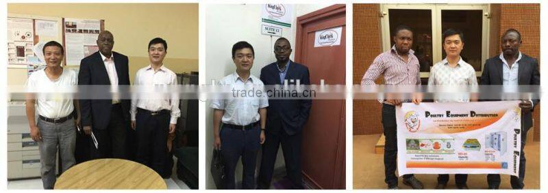 Automatic Stainless Steel Commercial Chicken Plucker Machine for Sale