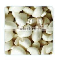 Automatic stainless steel garlic peeling machine cheap price