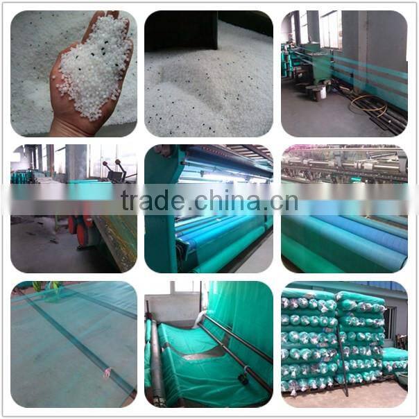 tight white invisible anti mosquito net for greenhouse