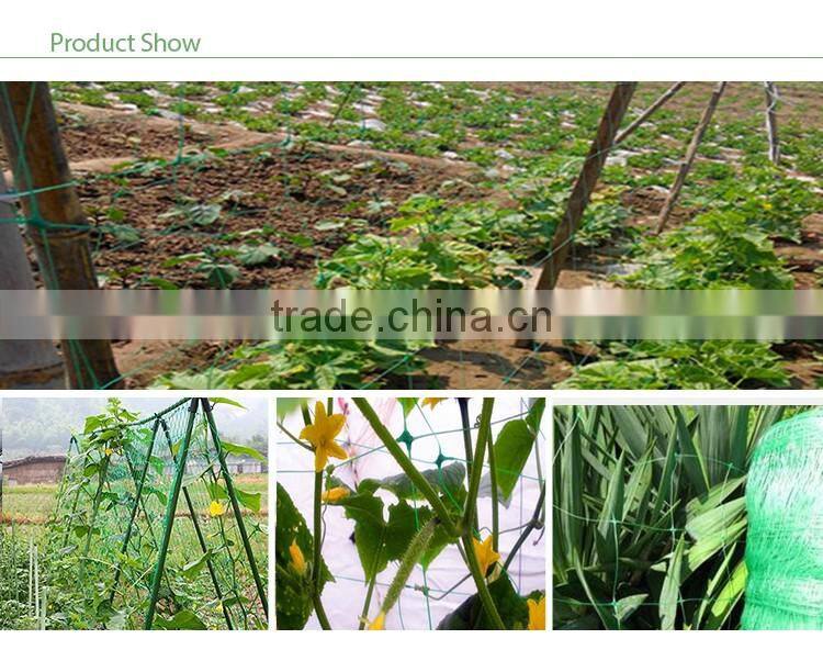 Plastic Nylon Suqare Plant Support Net