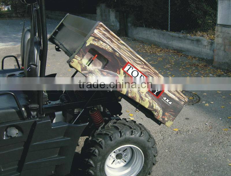 300cc Utility Vehicle UTV300A