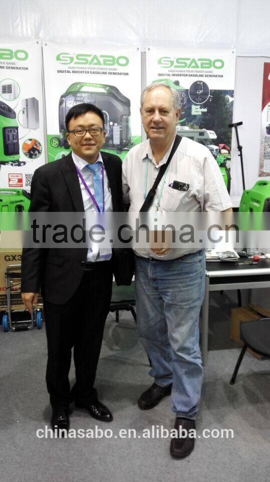 Chine Prtrol Inverter Generator With Pure Sine Wave