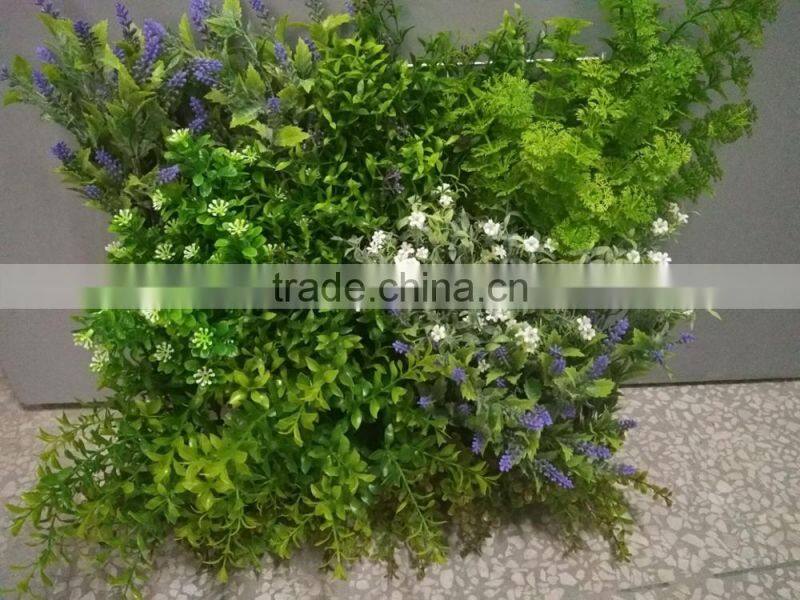 Decorative frame wall hanging grass plants