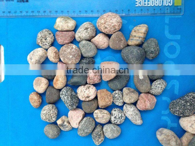 mixed color flat pebble river stone, natural pebble stone