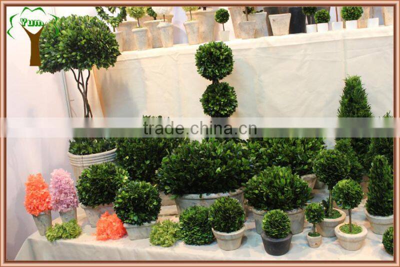 Commercial decorative preserved spiral boxwood topiary